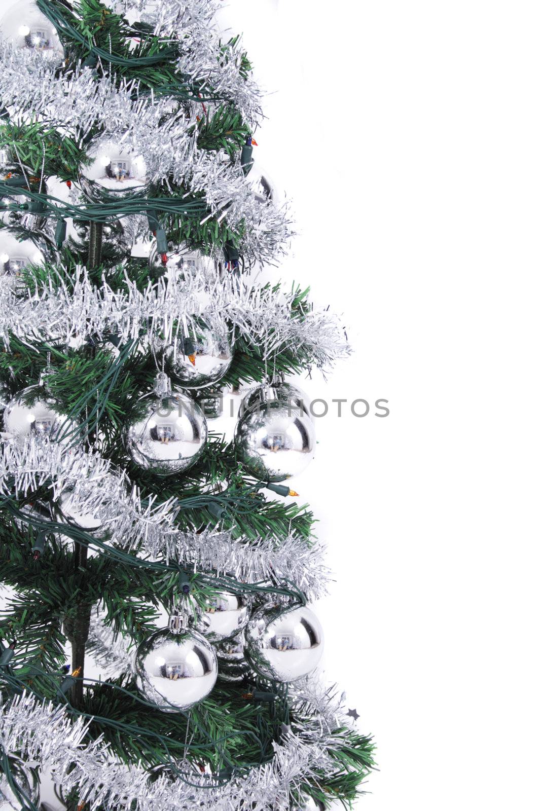 christmas tree isolated on the white background