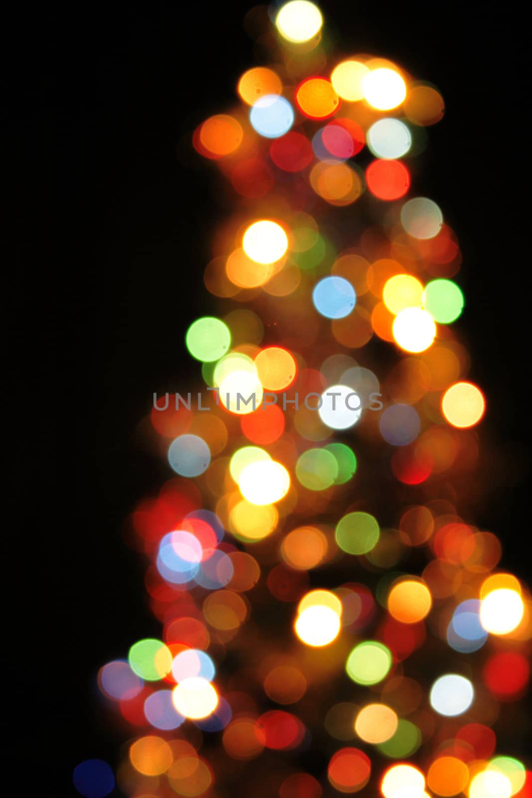 xmas tree isolated on the black background
