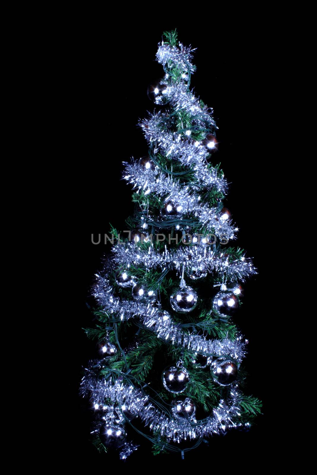 christmas tree isolated on the black background