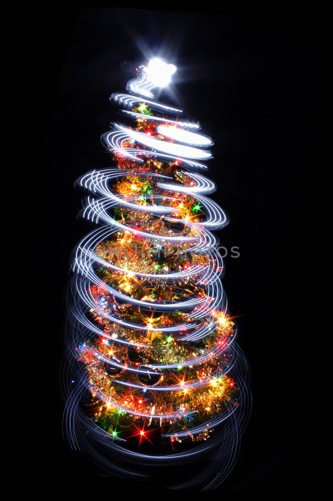 christmas tree isolated on the black background