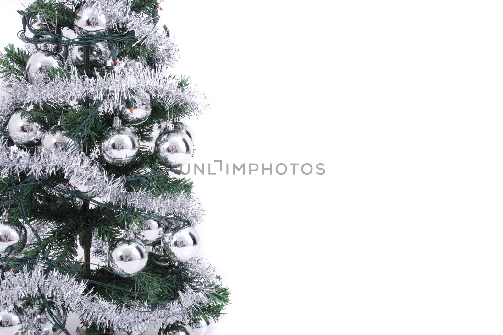 christmas tree isolated on the white background