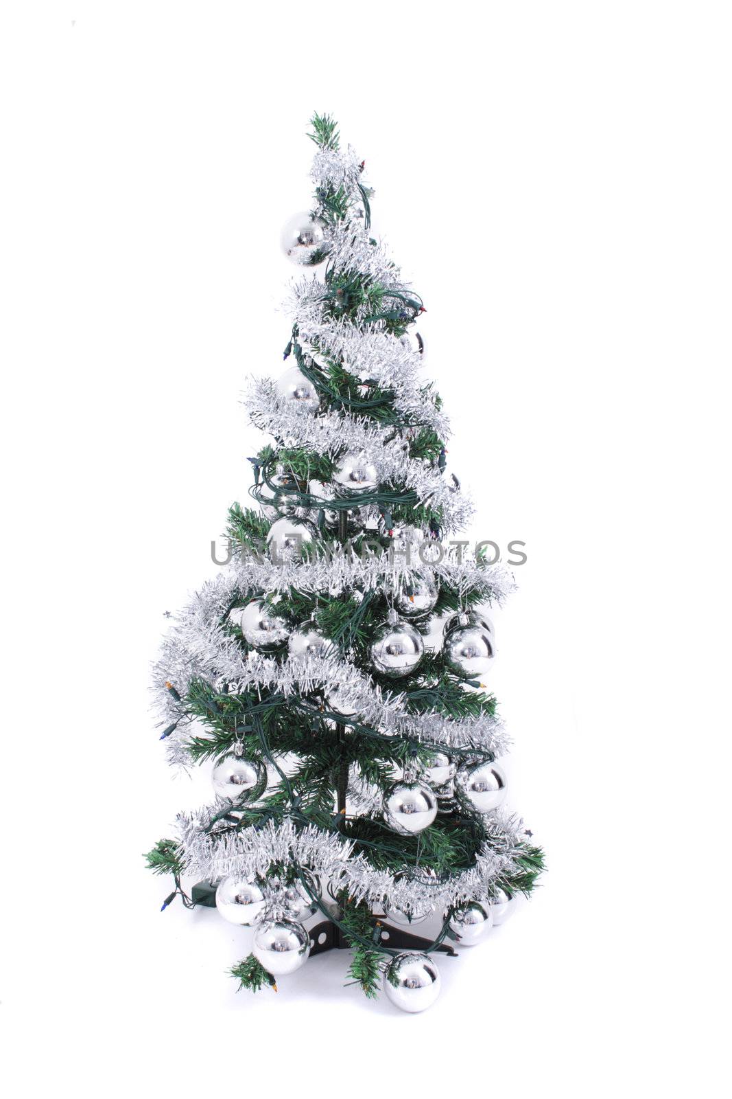 christmas tree isolated on the white background