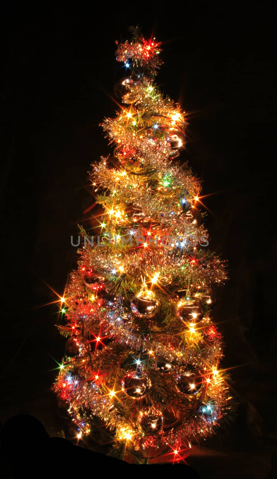 christmas tree isolated on the black background