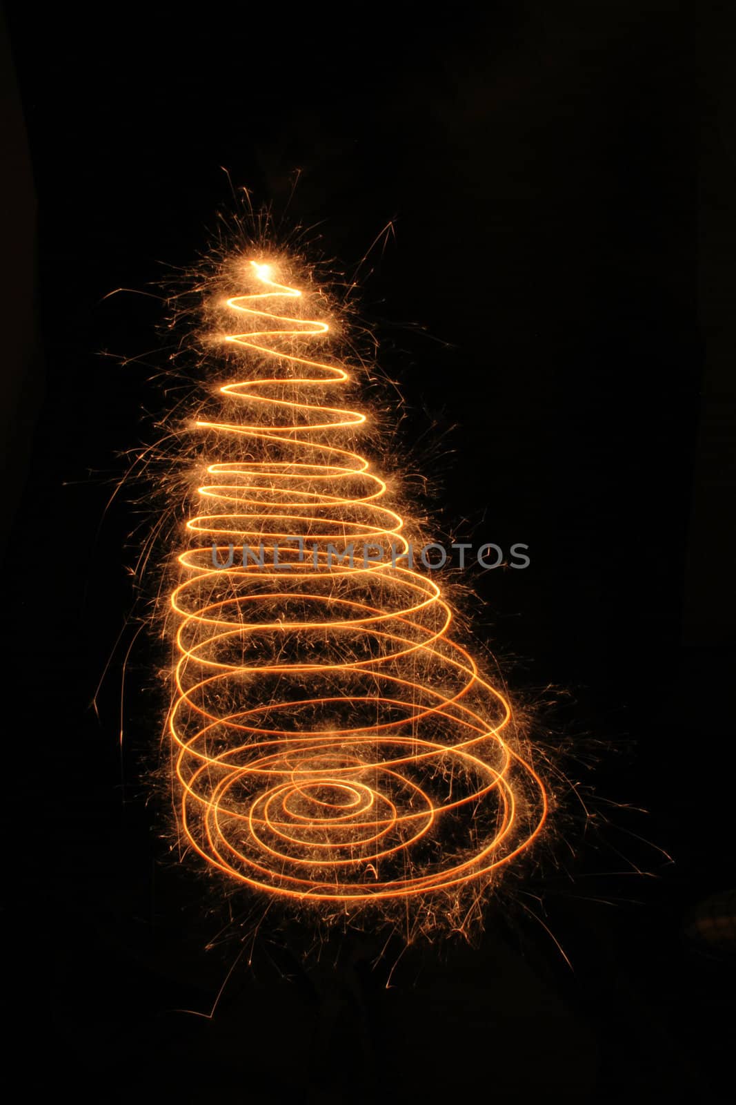 christmas tree isolated on the black background