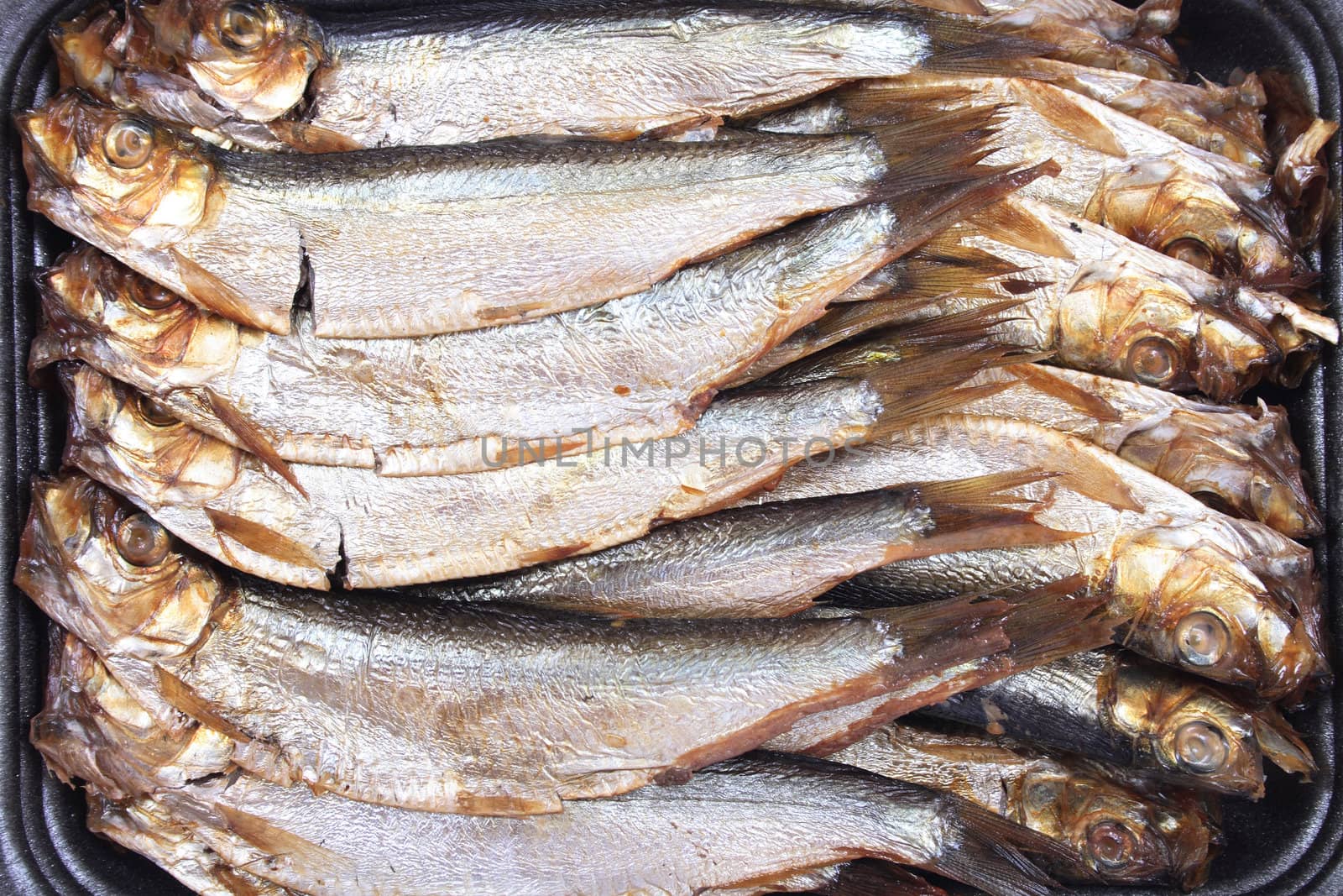 silver fishes - great seafood from the nature 