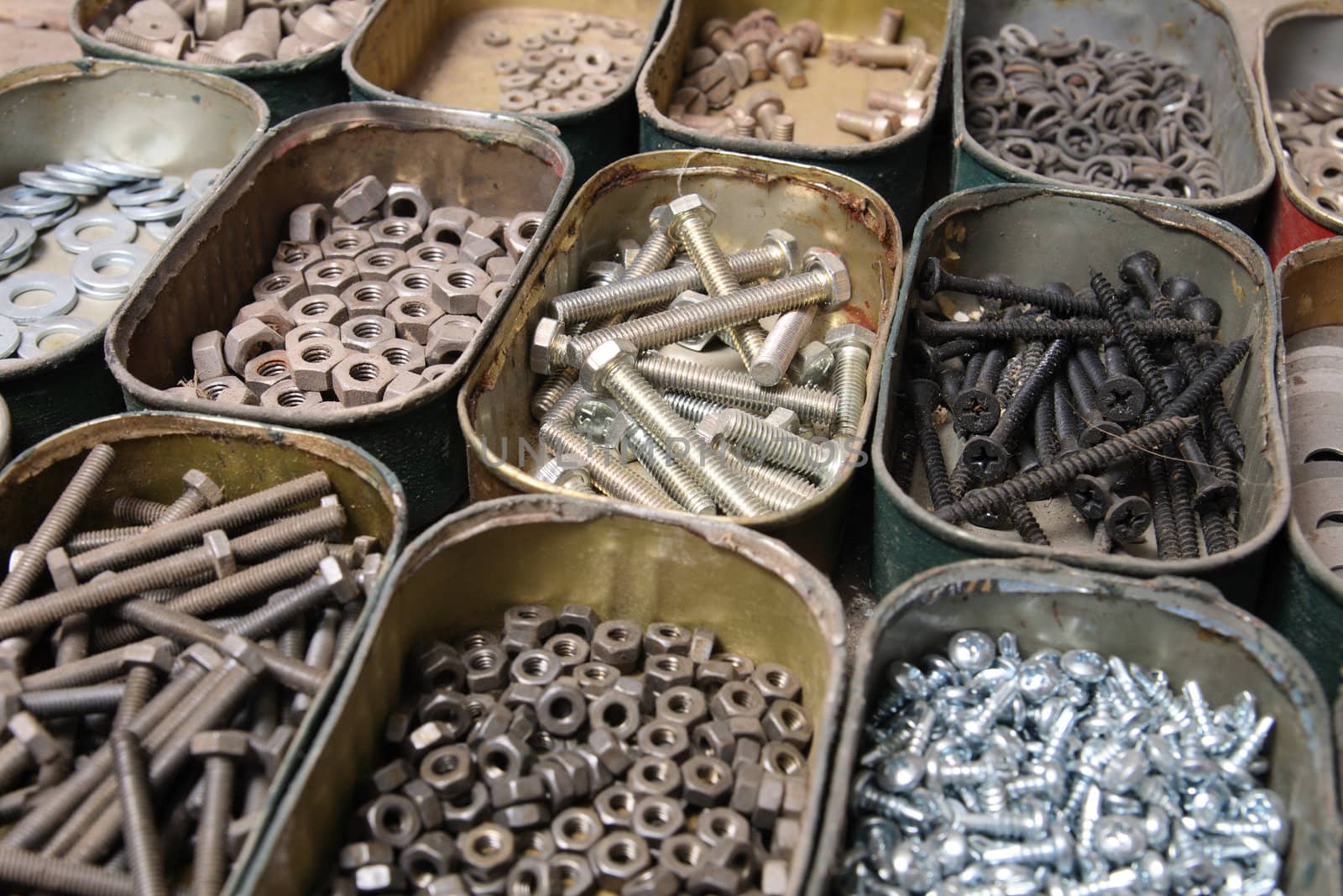 many steel screw in the small boxes 