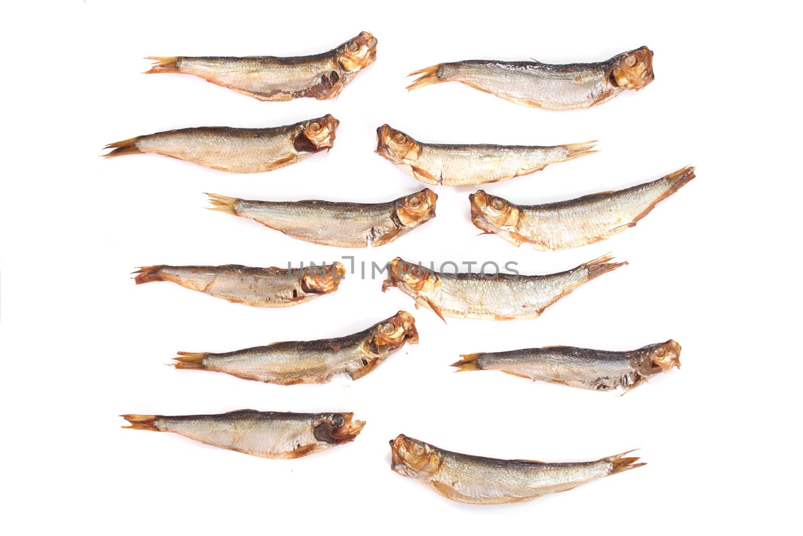 silver fishes - great seafood on the white background
