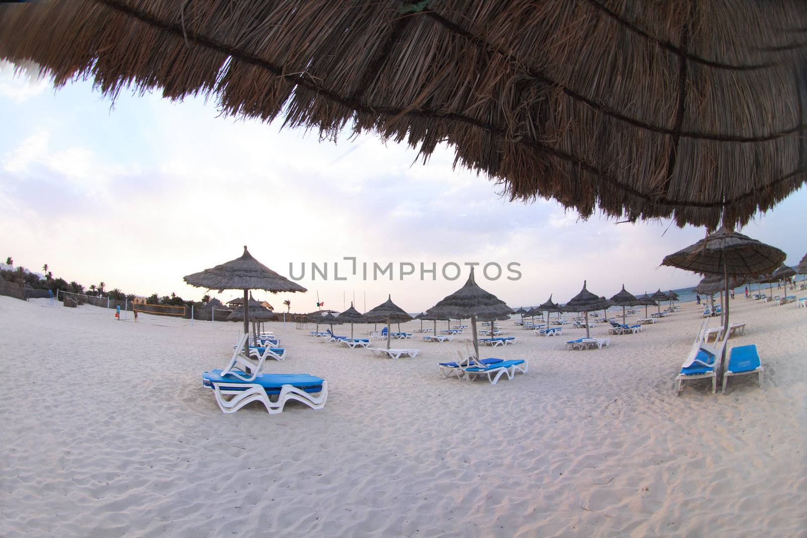 beach  in the tunisian hotel in africa
