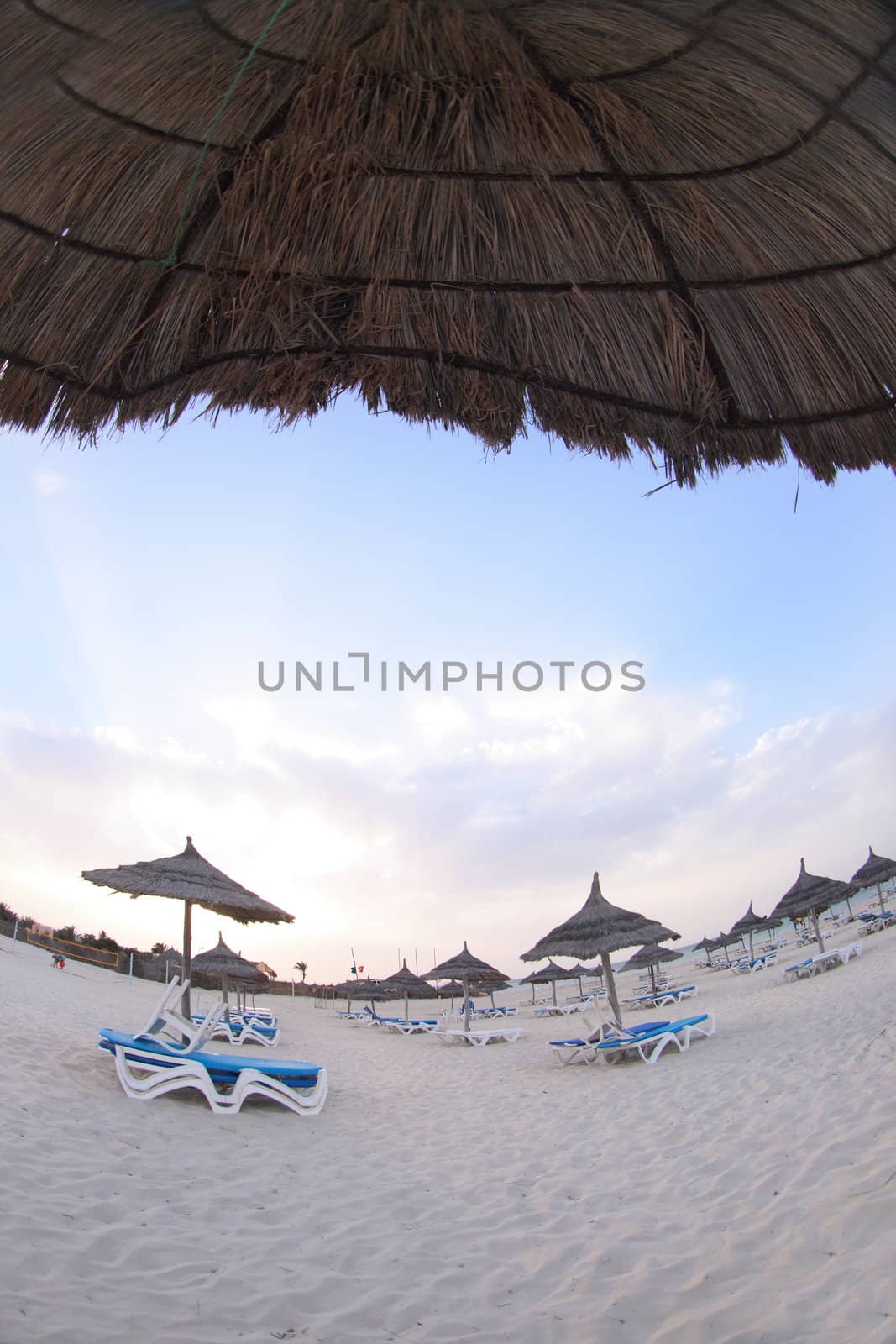 beach  in the tunisian hotel in africa