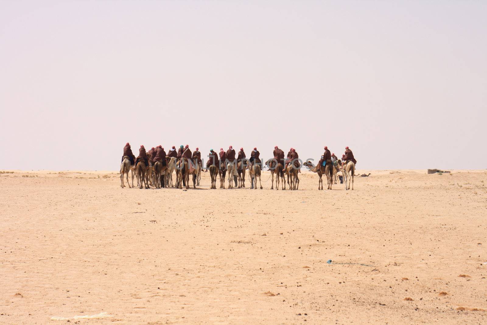 camel caravan on the sahara desert in the tunisia 