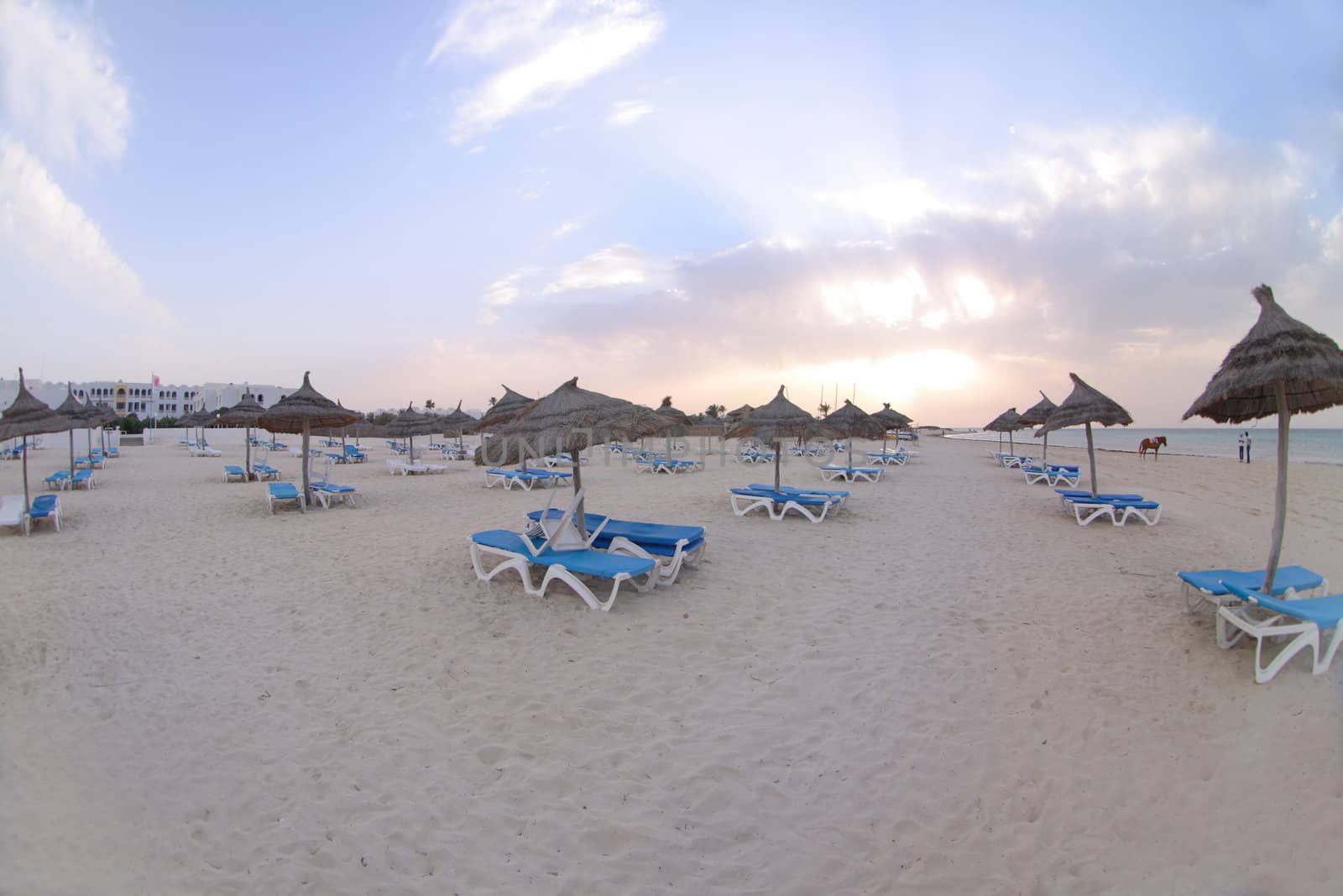 beach  in the tunisian hotel in africa
