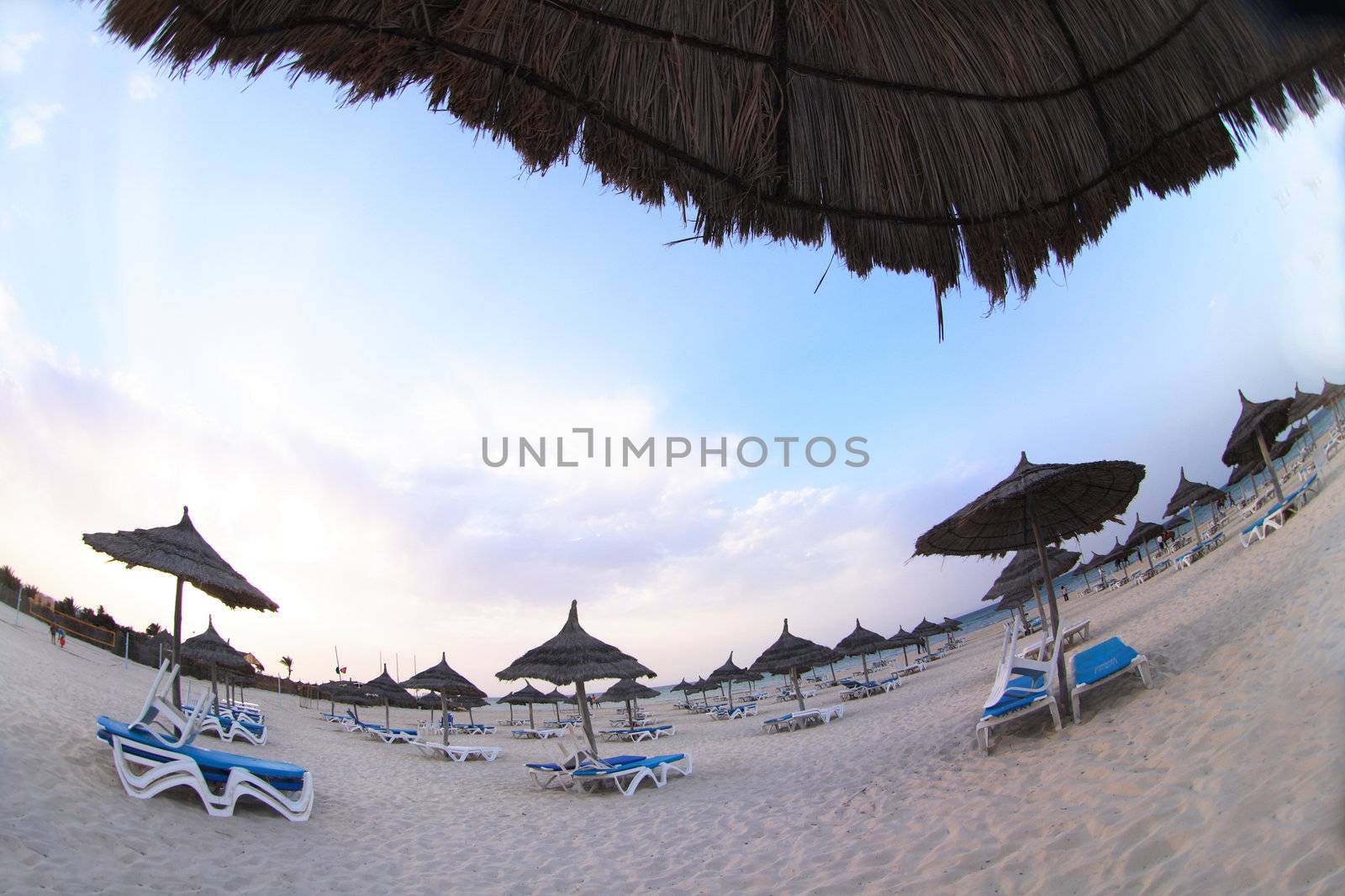 beach  in the tunisian hotel in africa