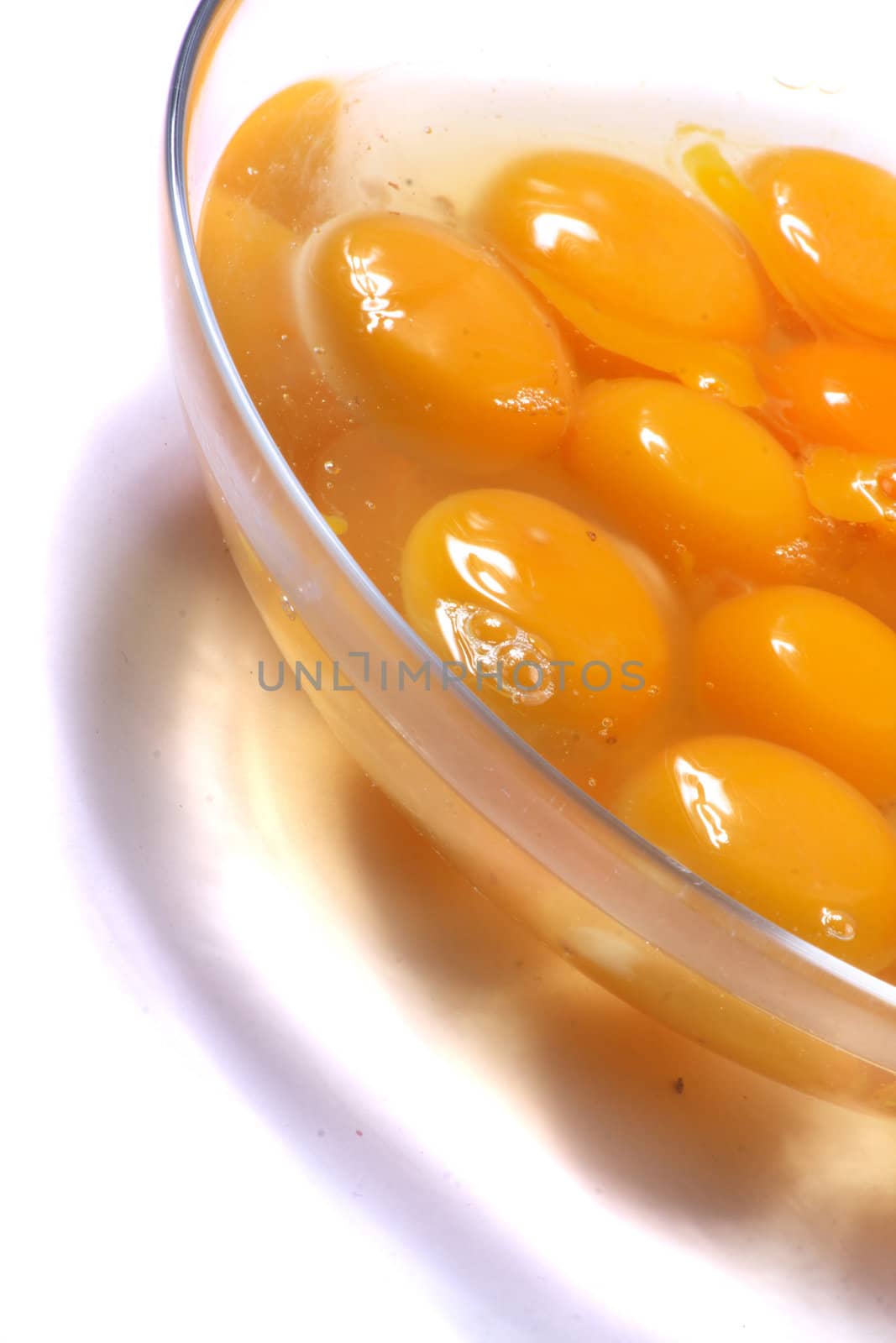 raw yellow eggs on the white background 