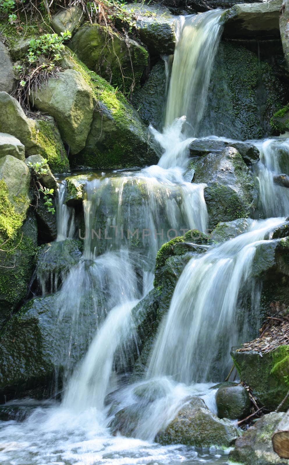 very nice waterfalls in the green nature 