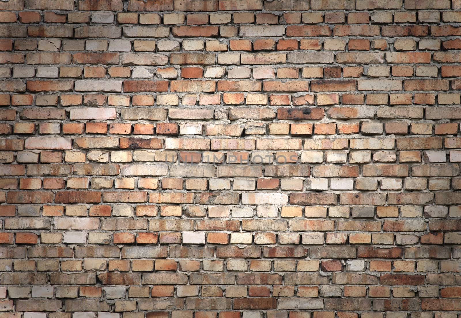 very nice brickwall from the old bricks