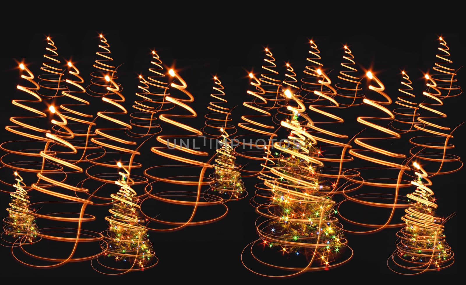 xmas tree (lights) on the black background