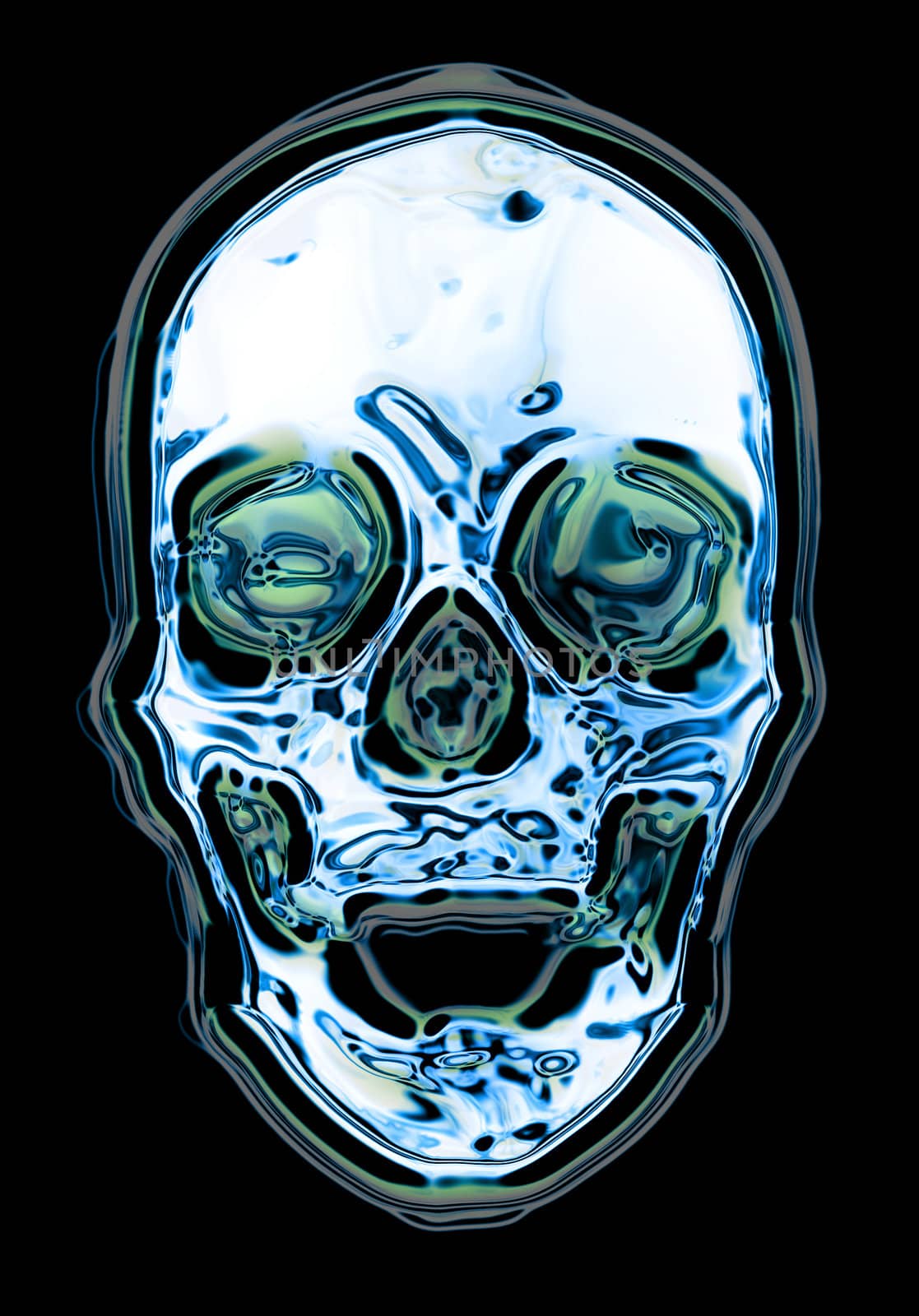 human skull generated by the computer