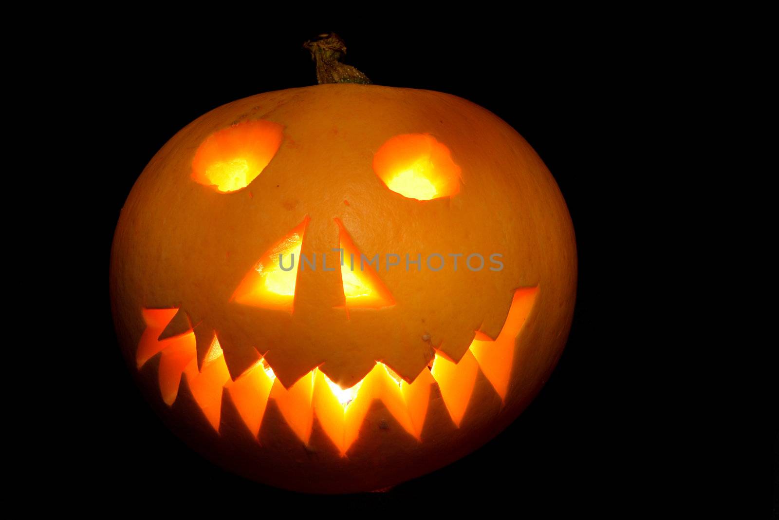 nice halloween pumpkin on the black background