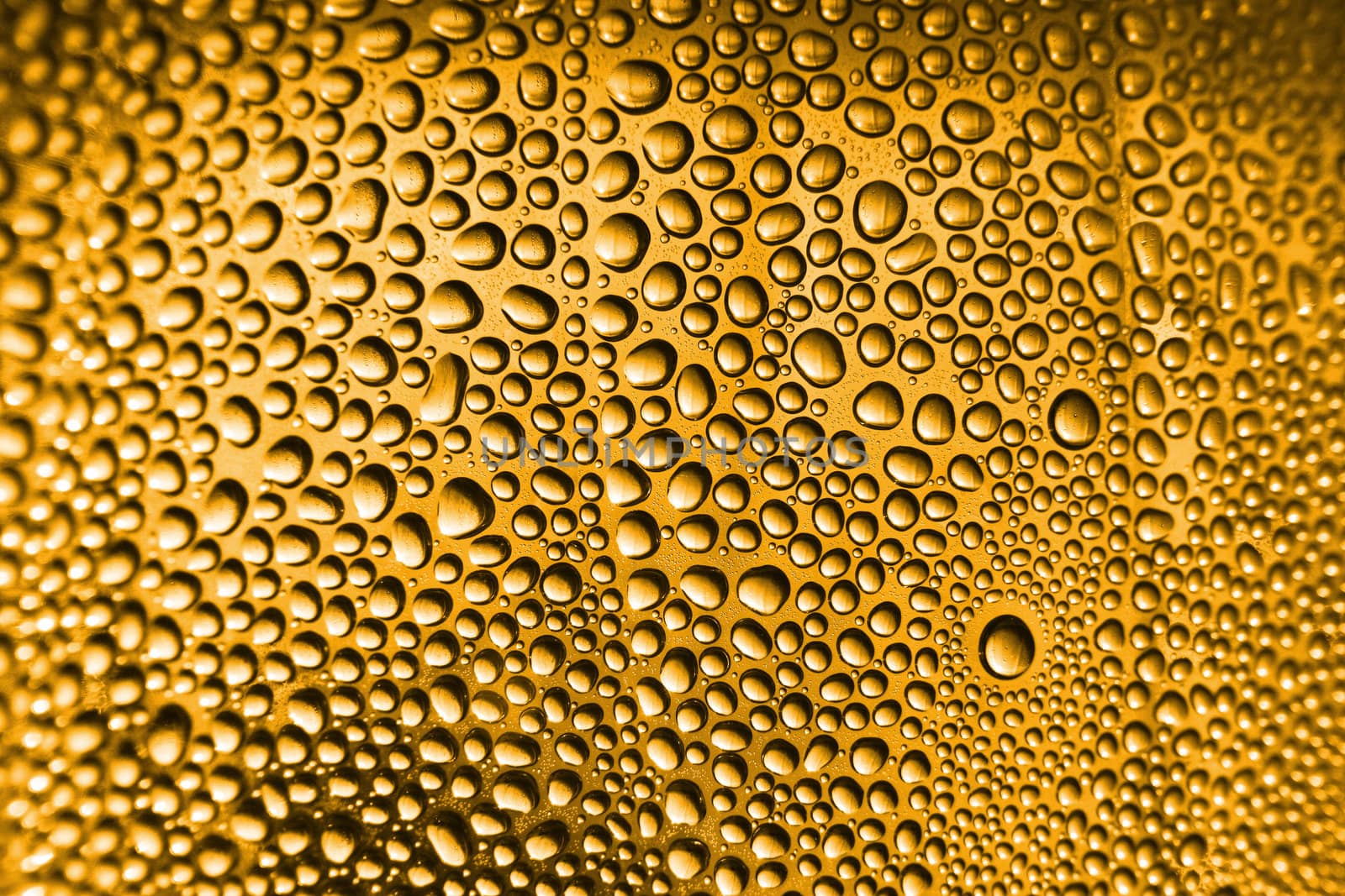 golden texture from the fresh glass of beer