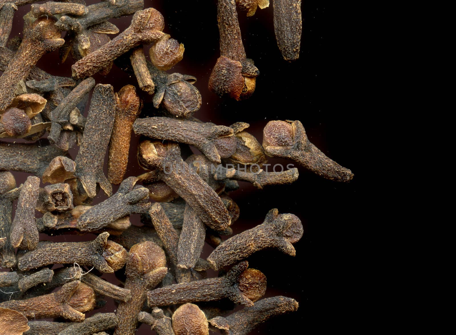detail of clove grocery on the black background