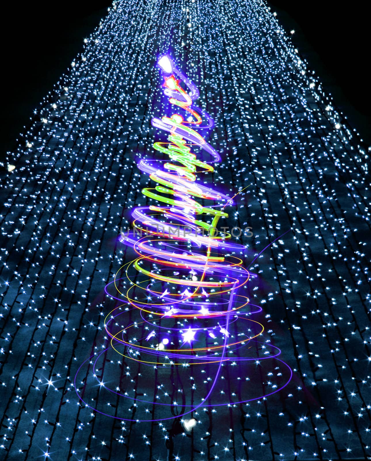 christmas tree (lights) on the black background