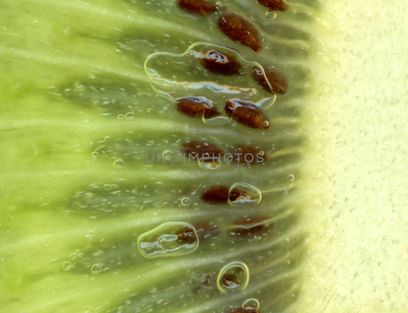 very nice fresh kiwi background macro shot 