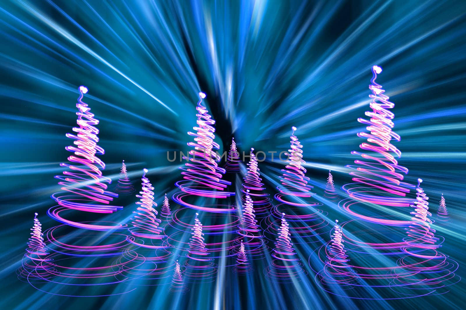 christmas forest (lights) on the black background