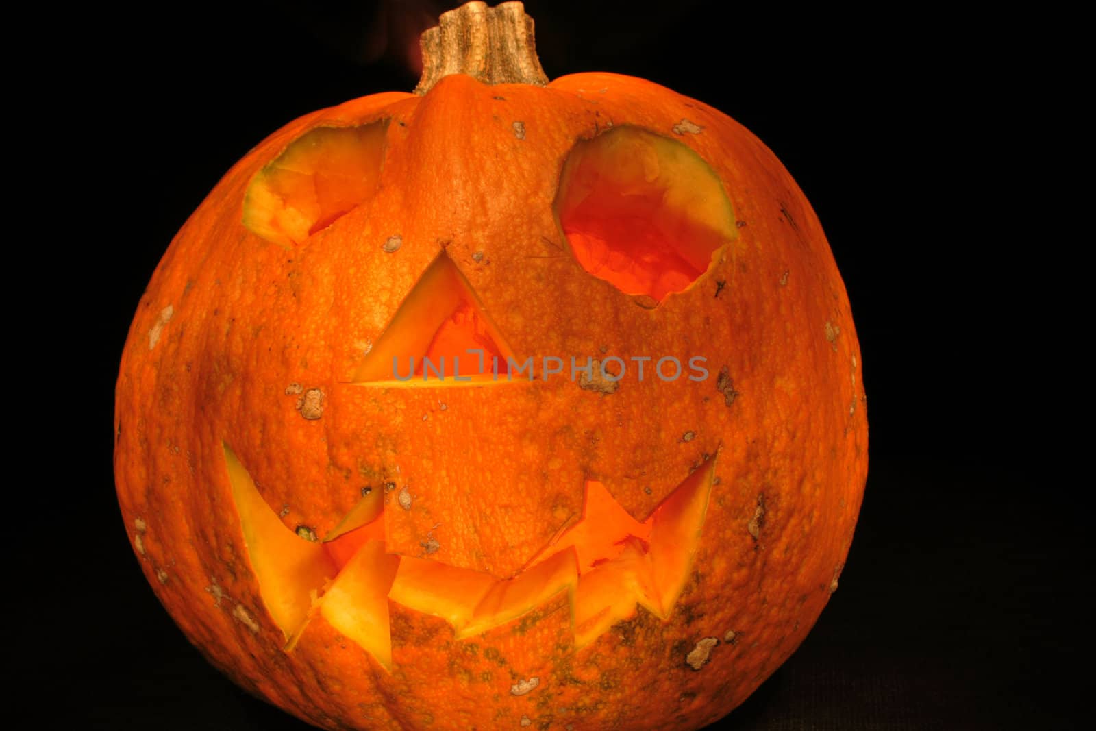 halloween pumpkin isolated on the black background