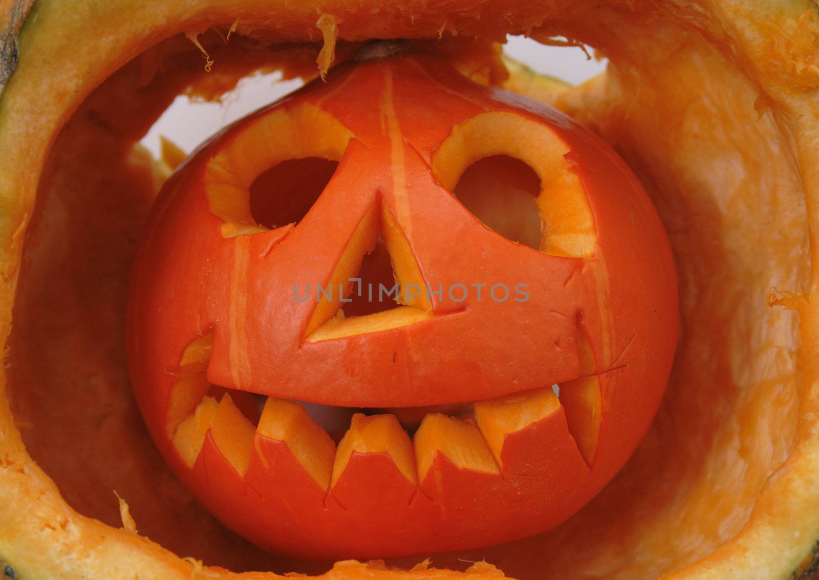 nice halloween pumpkin as very nice holiday background