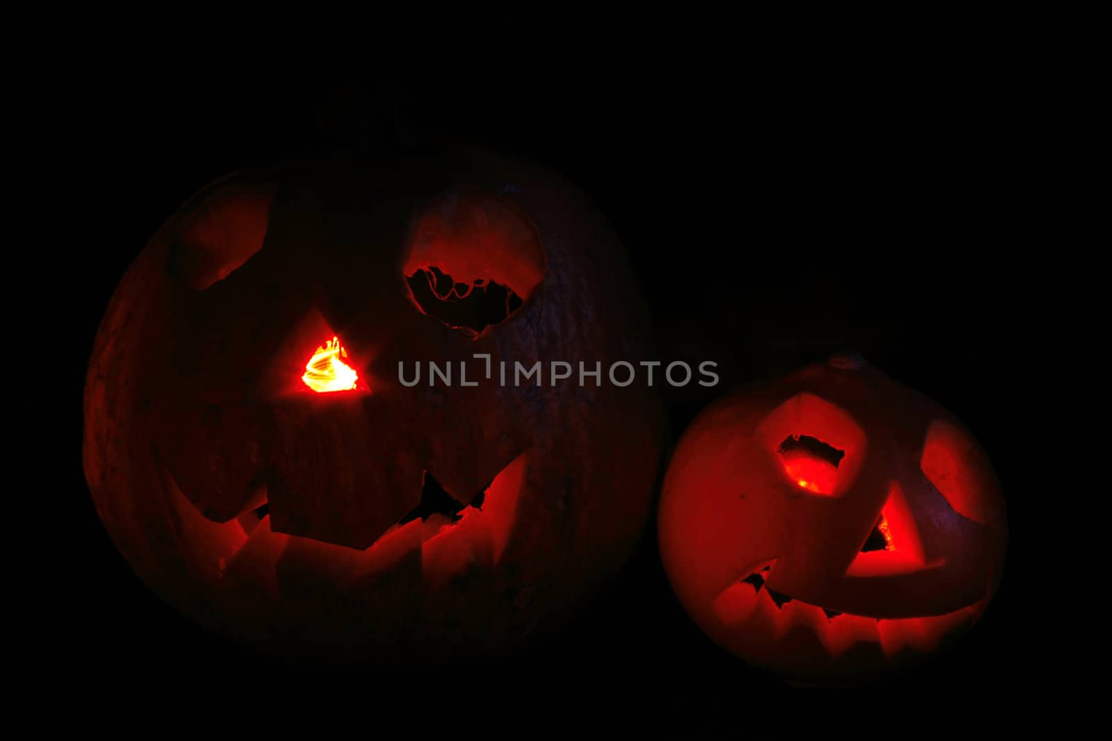 halloween pumpkins isolated on the black background