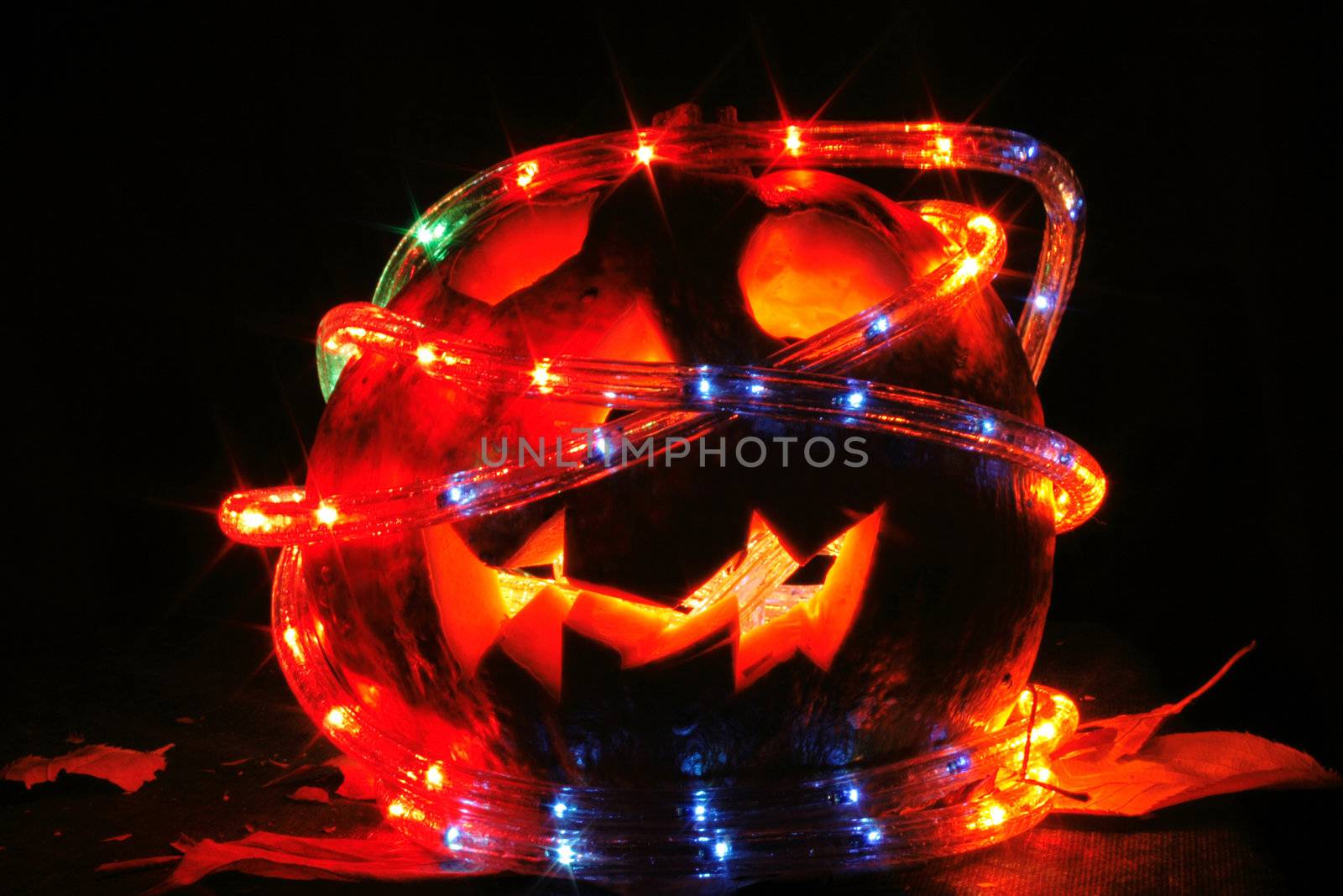 halloween pumpkin in the dark night  by jonnysek