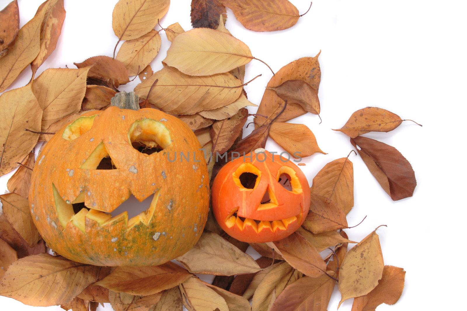 nice halloween pumpkin isolated on the white background