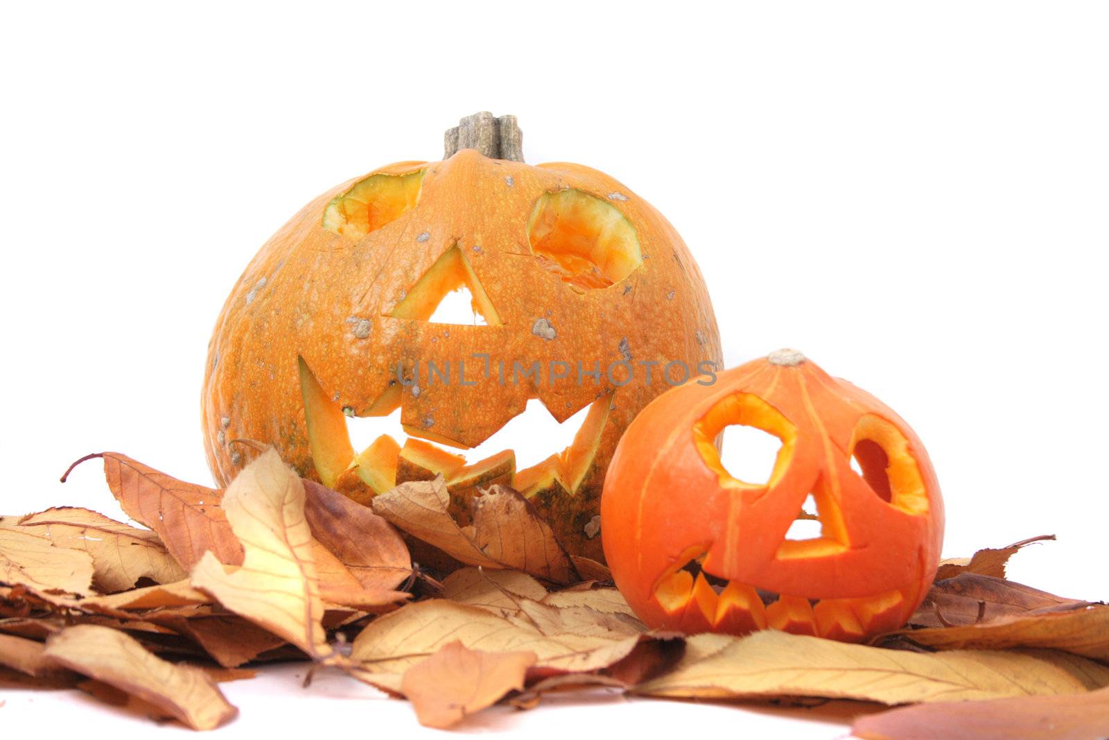 pumkins halloween symbol isolated on the white background