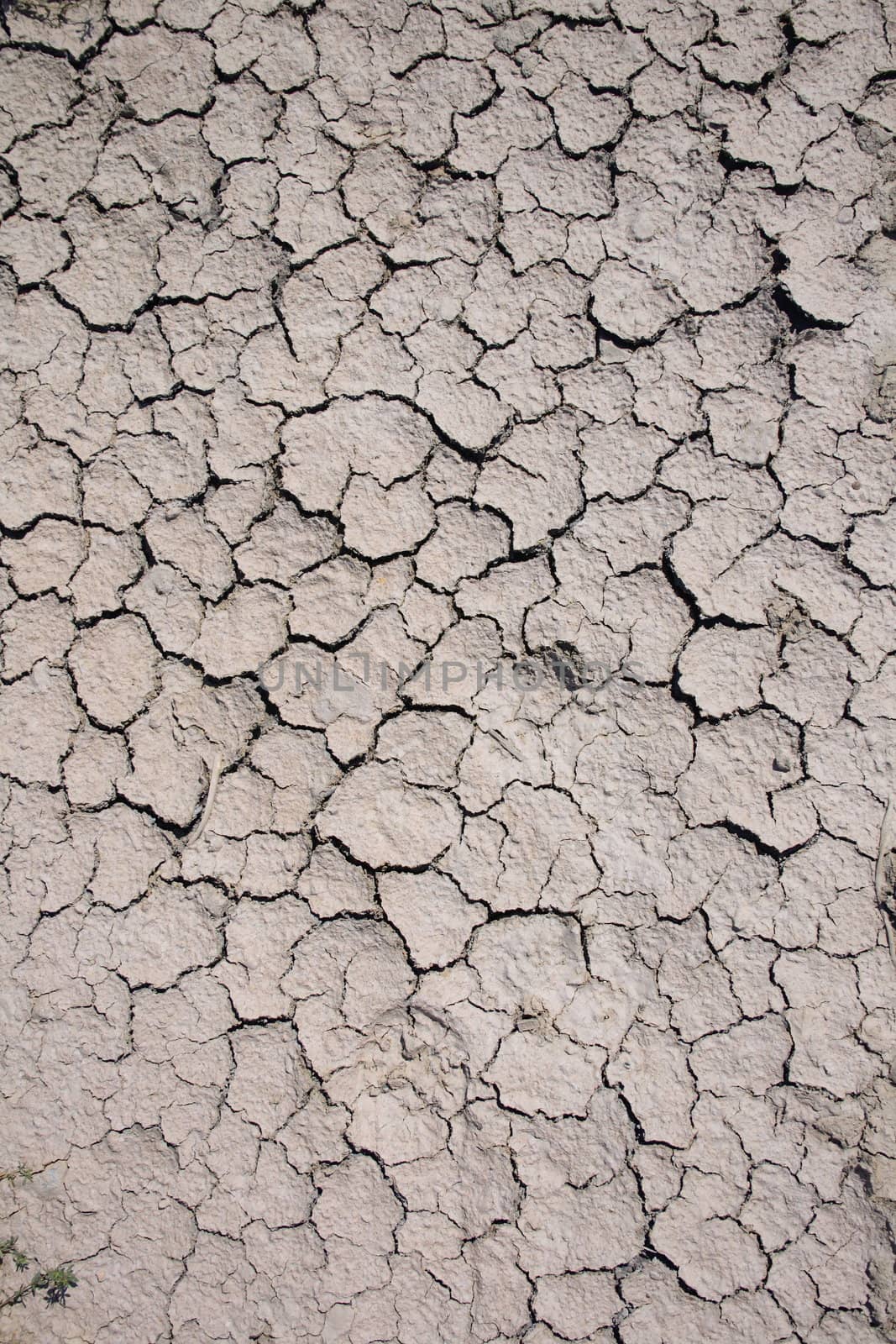 dry land as very nice natural background