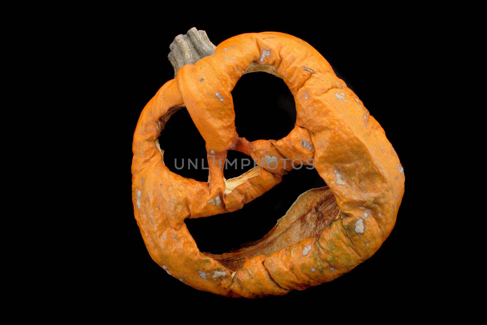 halloween pumpkin by jonnysek