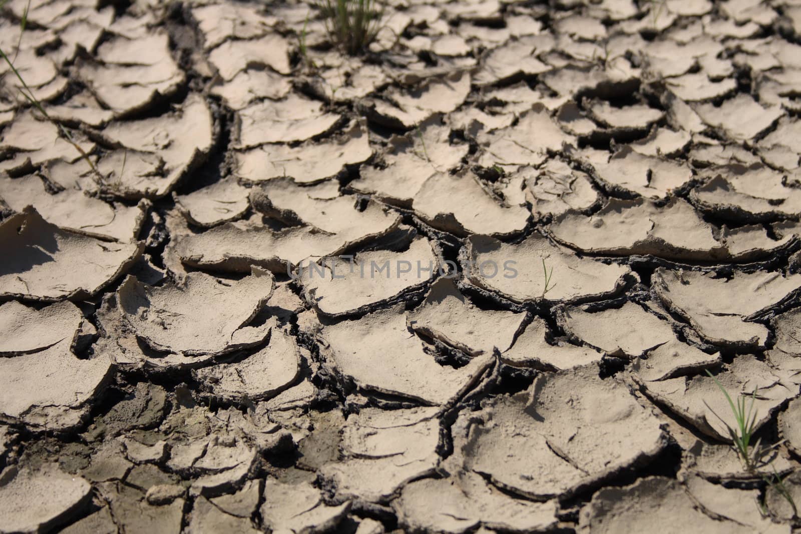 dry land as very nice natural background