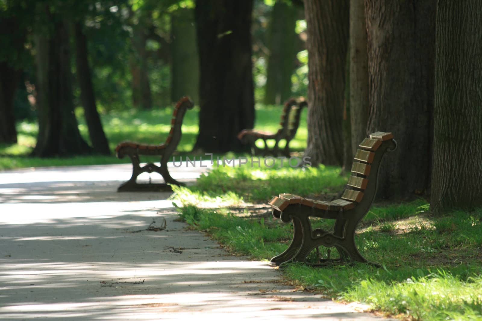 very nice spring park for your resting