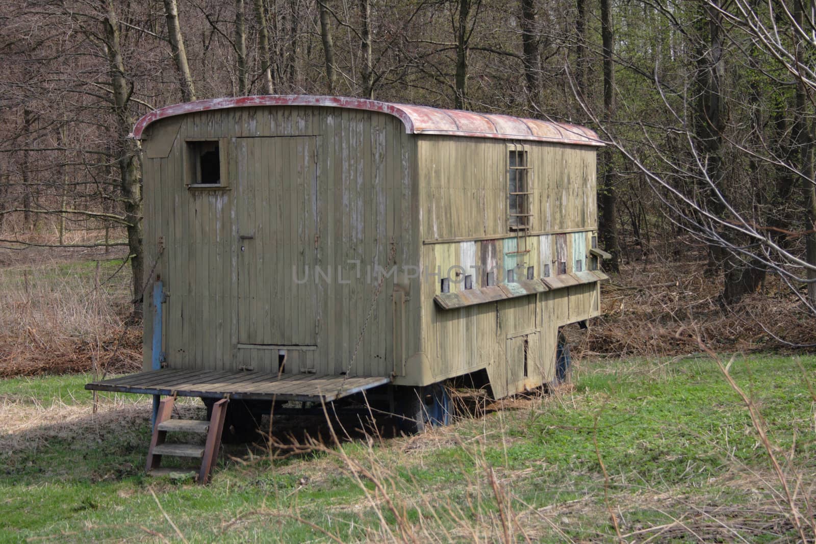 old bee farm in the spring forest 