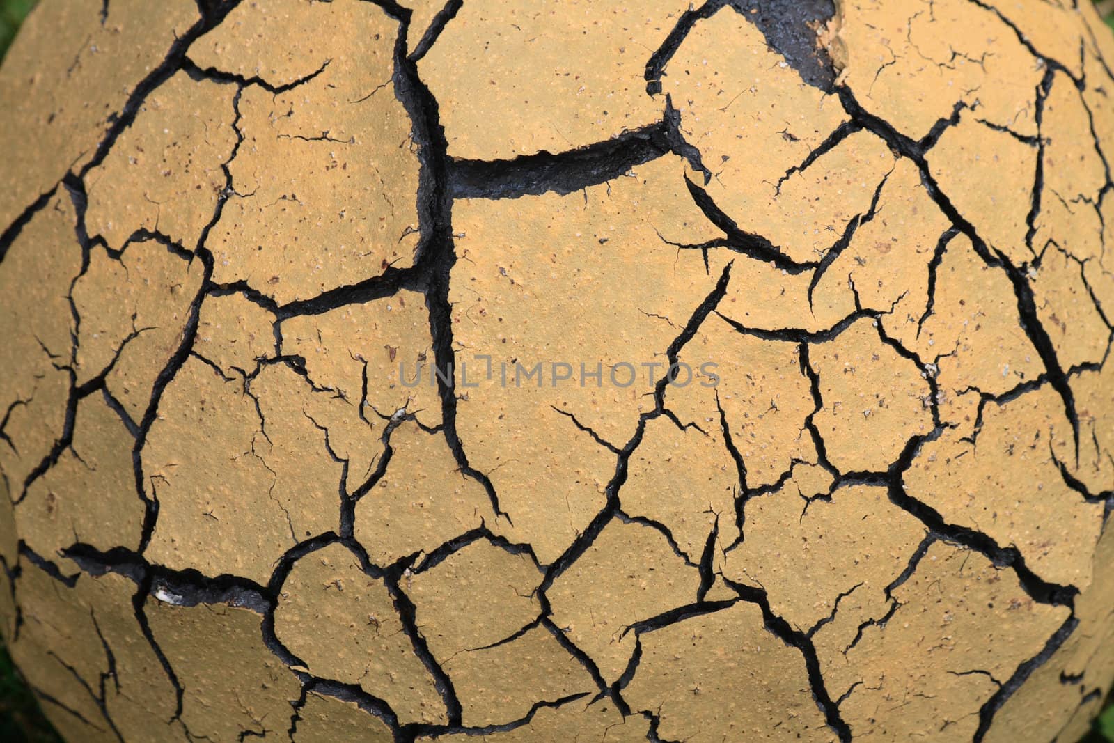 dry surface as very nice natural background