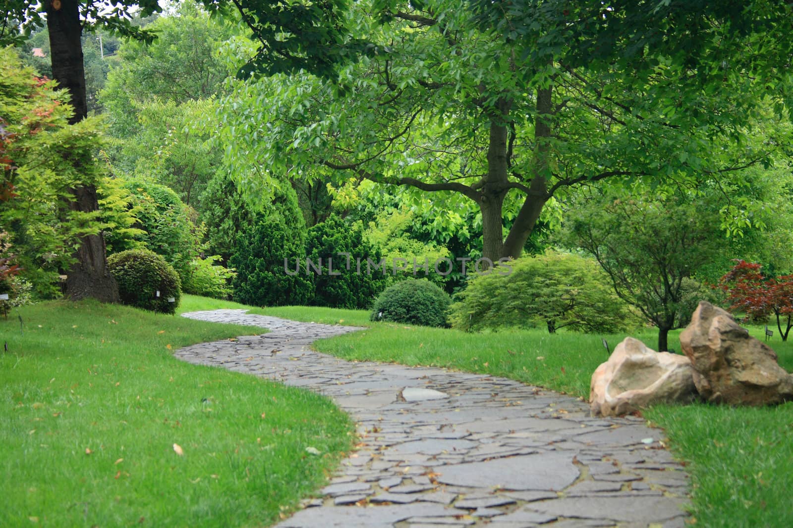 very nice green park in the early spring