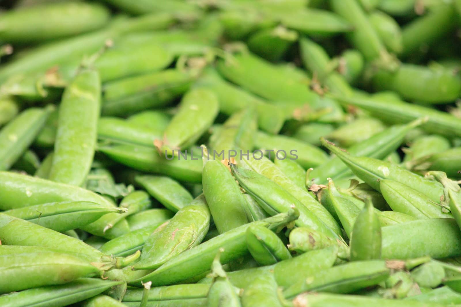 green pea as very nice natural background