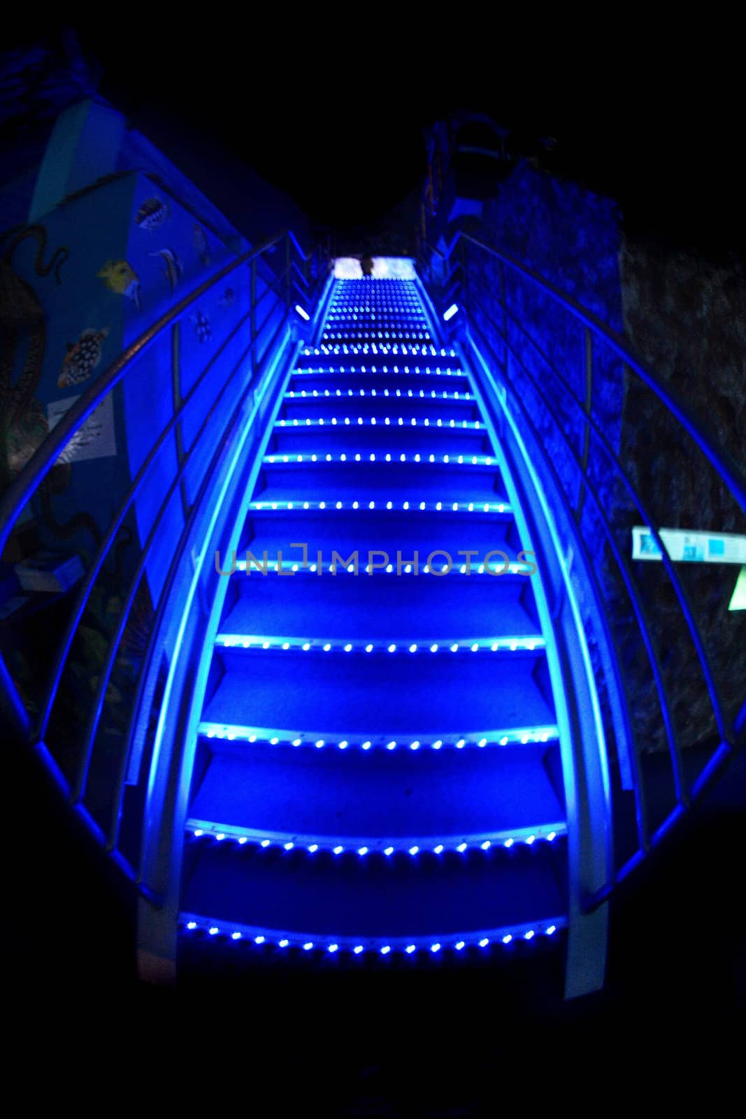 nice blue stairs in the night bar 