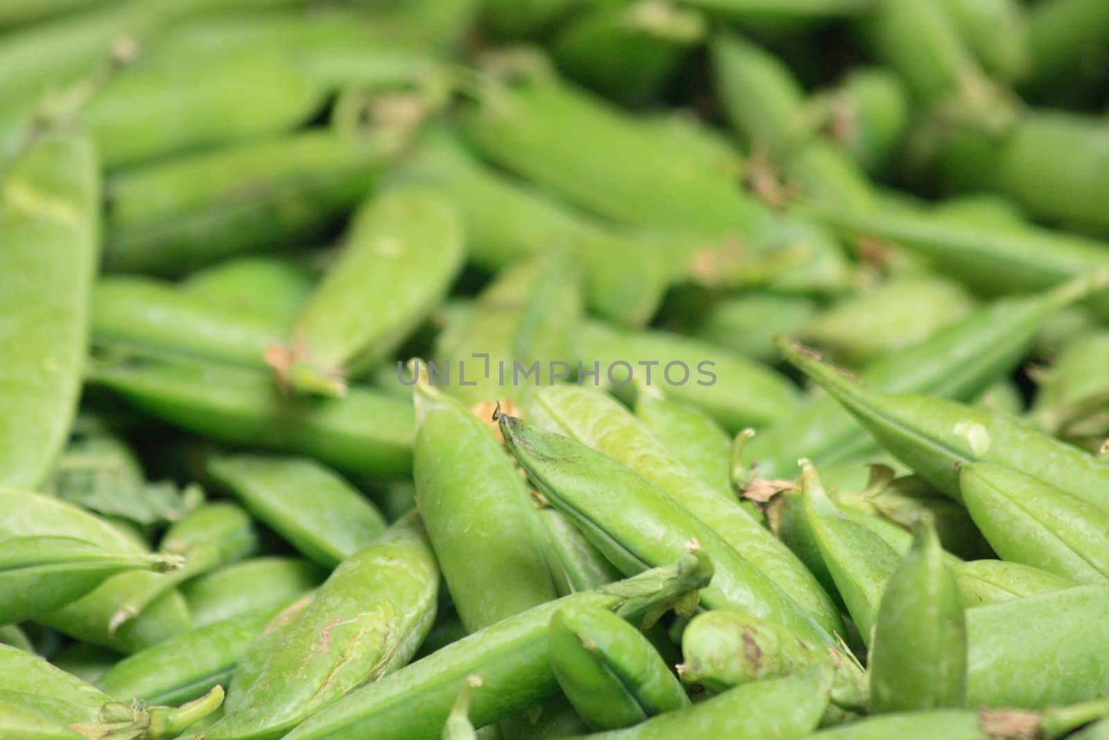green pea as very nice natural background