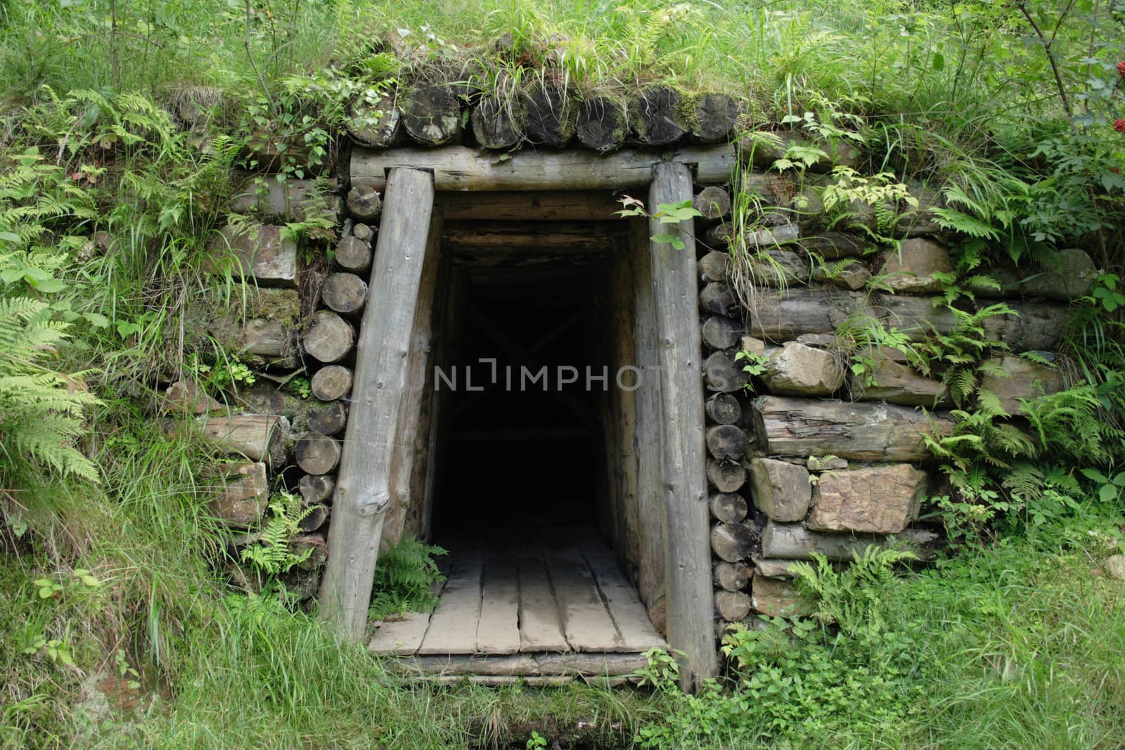 old mine entry in the czech forest 