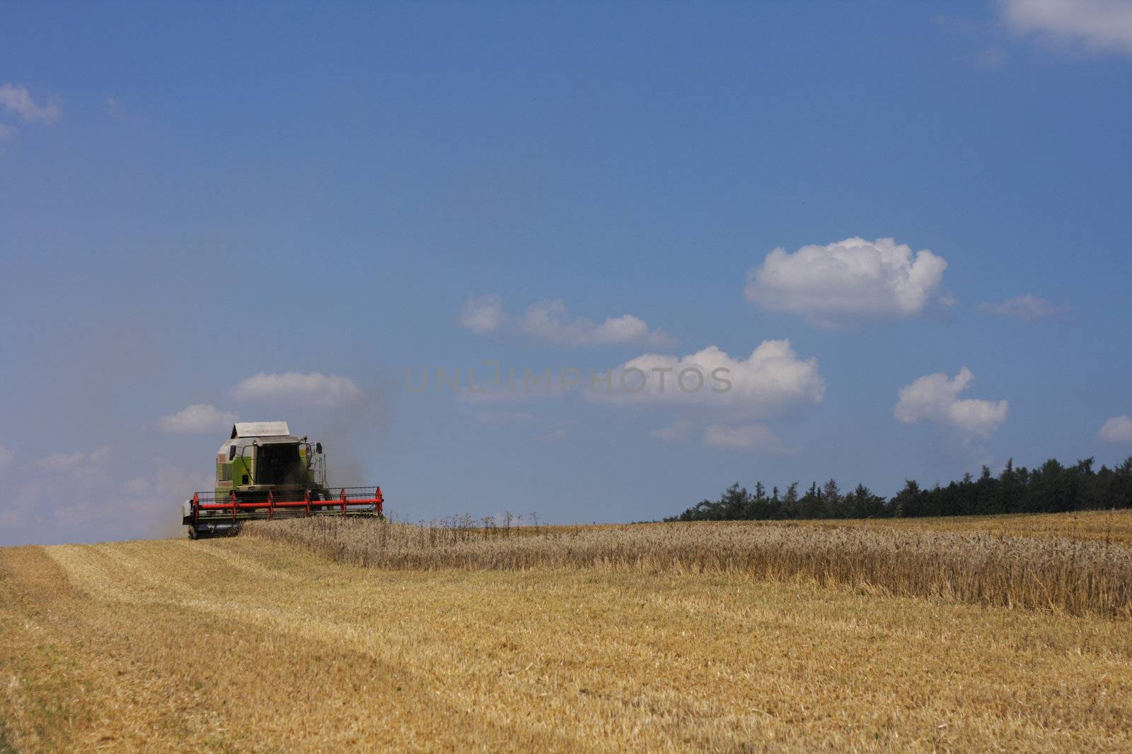 golden corn field with harvester and blue sky