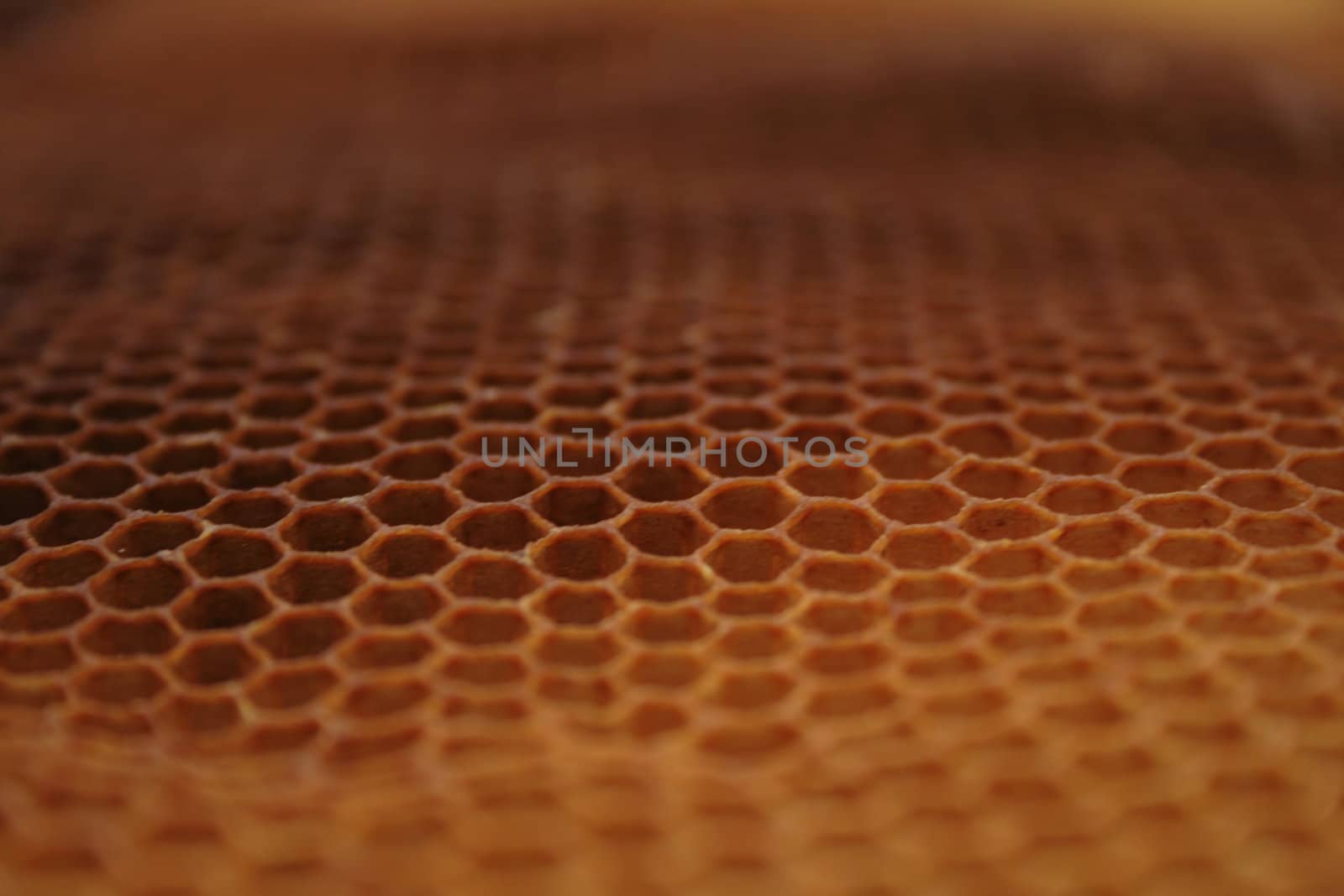 beeswax wirhout honey as very nice natural background