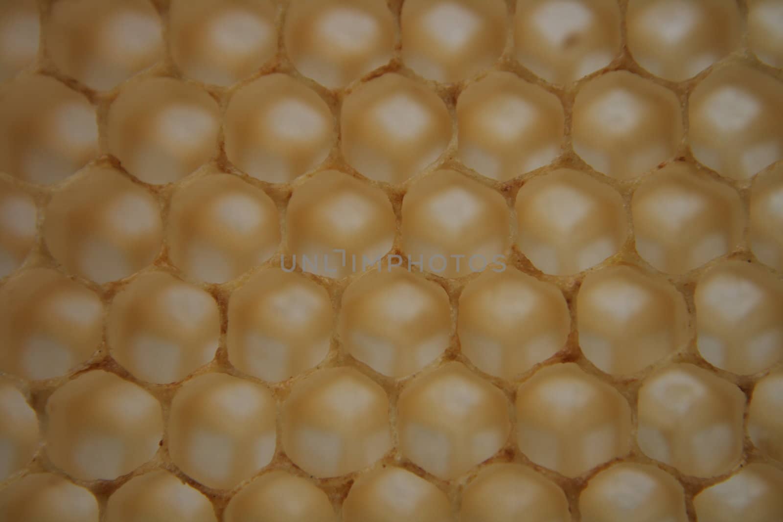 beeswax wirhout honey as very nice natural background