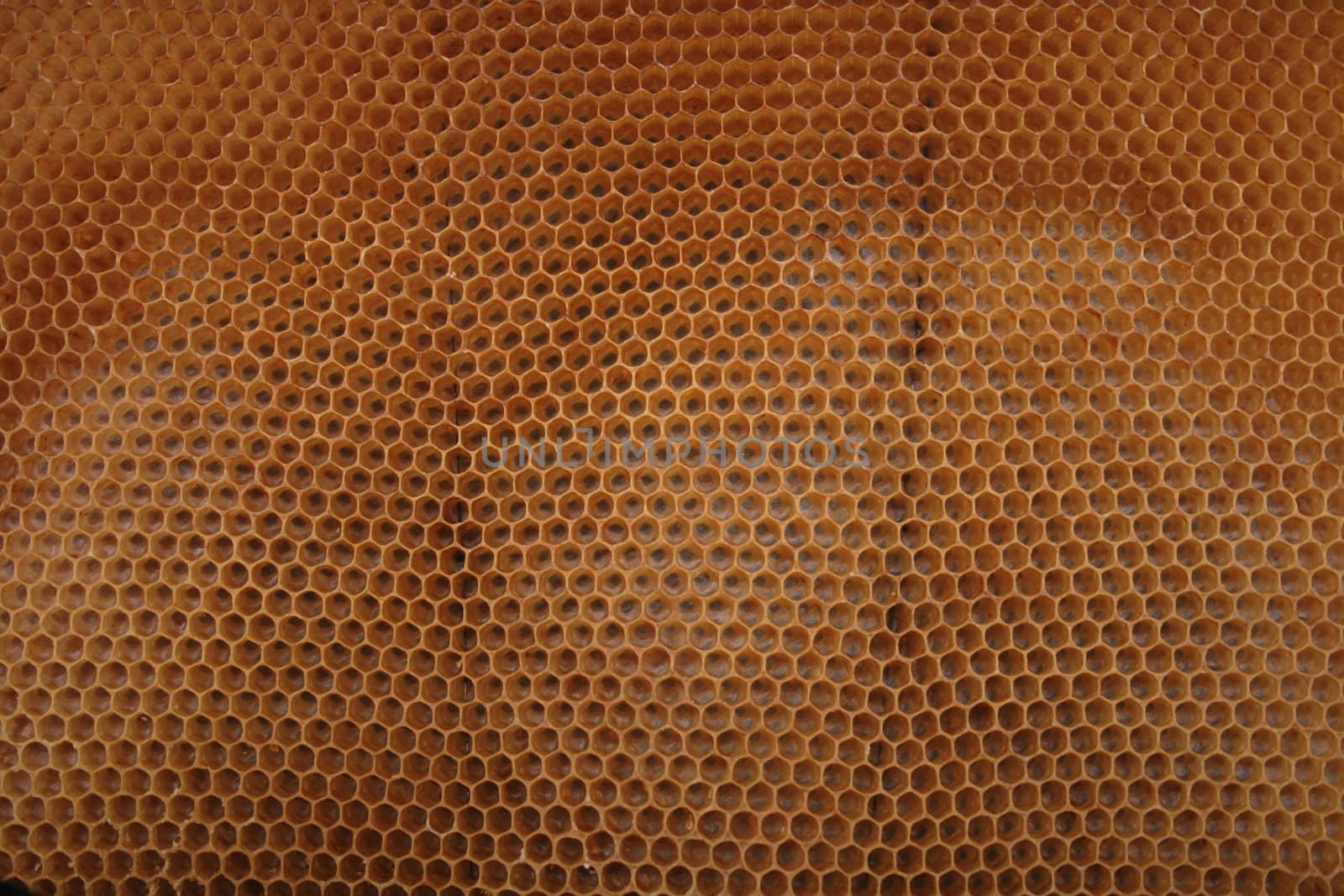beeswax wirhout honey as very nice natural background