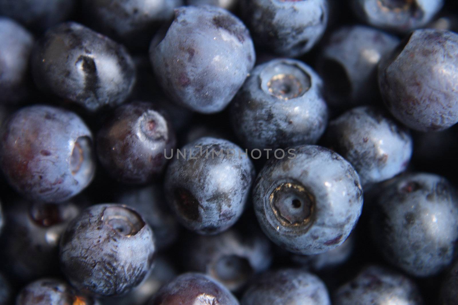 fresh blueberries as very nice food background