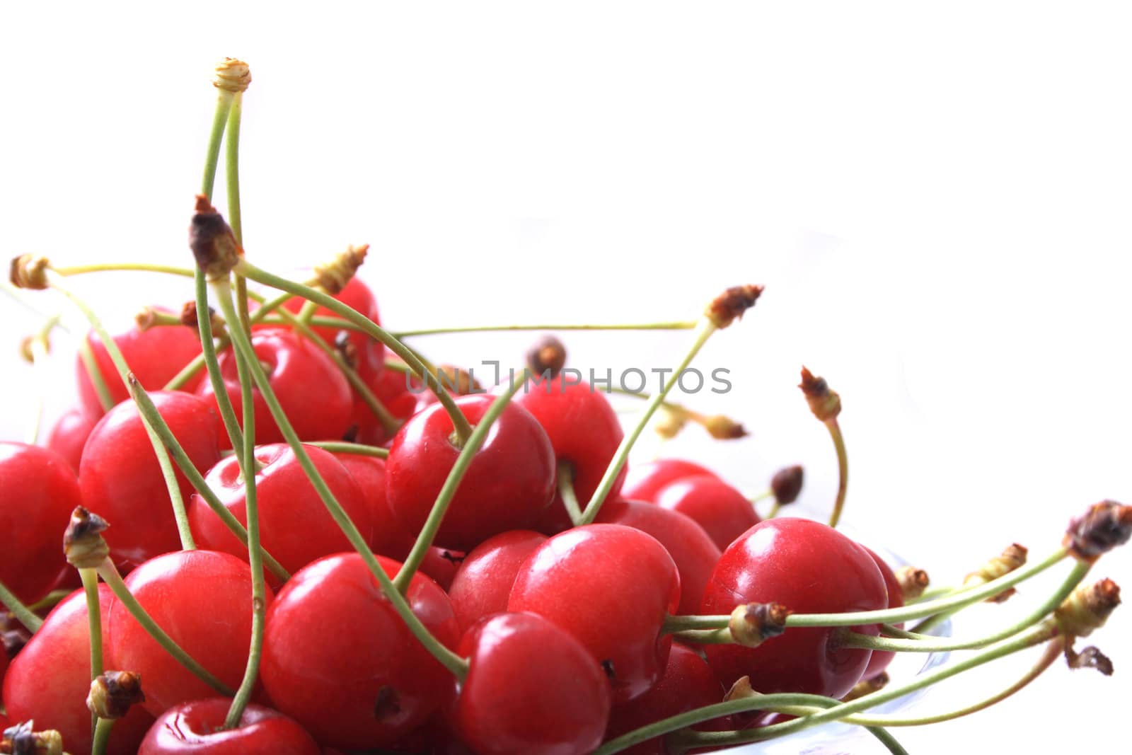 red cherries isolated on the white background